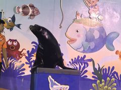 -太平洋海底世界