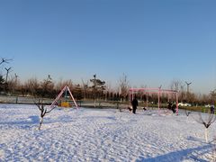-绿野森林乐园冰雪季