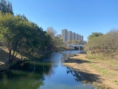 -将府公园