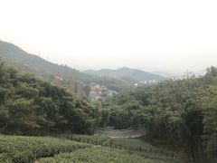 -莫干山风景区