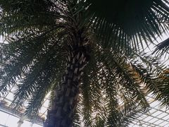-石家庄市植物园