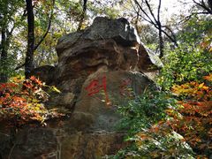 -宝岩生态观光园