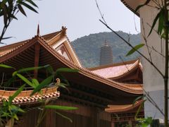-深圳仙湖植物园