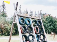 -前小桔亲子创意农场·草莓采摘·露营烧烤