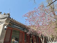-潭柘寺景区