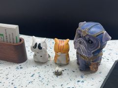 -半岛宠物医院24小时(白果林店)