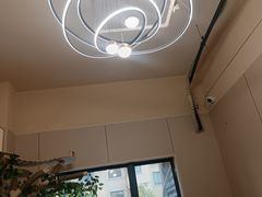 -唐小姐の私宠·宠物洗护美容·撸猫馆·购宠(周浦万达旗舰店)