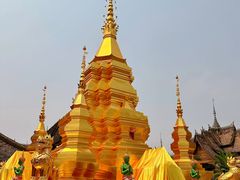 -西双版纳傣族园