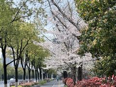 -肯德基(下沙和达城店)