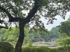 -杭州植物园