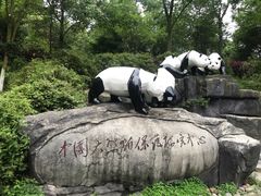 -都江堰中华大熊猫苑