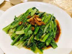 -锦粤宫·精致粤菜(深圳北站店)