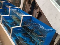 水产区-鼎记酒楼(雁南一路店)