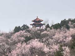 -白水寺森林公园