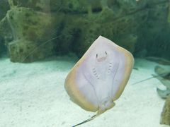 -珠海长隆海洋王国