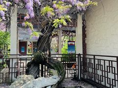 -郑和公园