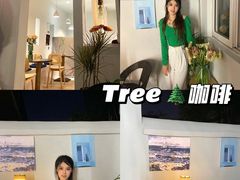 -树咖啡tree coffee