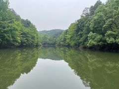 -青龙山国家森林公园