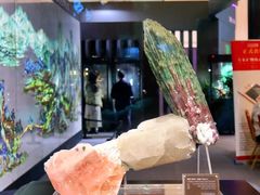 -天津梅江会展中心