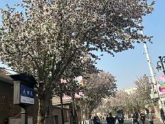 -天津五大道文化旅游区