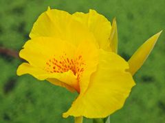 -合肥滨湖国家森林公园