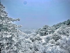 -黄山风景区