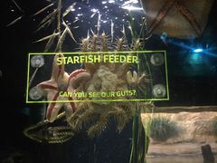 -悉尼海洋生物水族馆