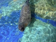 -太平洋海底世界