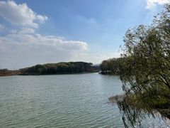 -昆山城市生态森林公园