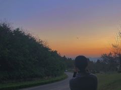 -铁山坪森林公园