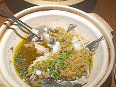 -永安水煮活鱼·仪征土菜院子