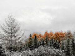 -硗碛藏寨·神木垒景区