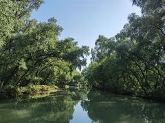 -大湾区中央湿地公园