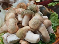 -菌海森林·非遗野生菌火锅(西山区滇池路摩根道店)