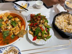 -煲来饱去冷水鱼