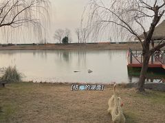 -苏州湾·王焰温泉