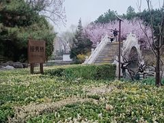 -团结湖公园