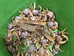 -北海金海湾红树林生态旅游区