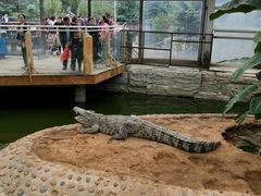 -石家庄市动物园