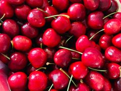 -沈阳市八家子水果批发市场