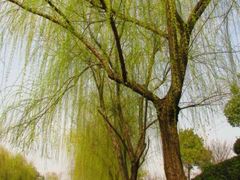 -深圳万象城