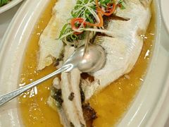 -老洋房花园饭店(绍兴路店)