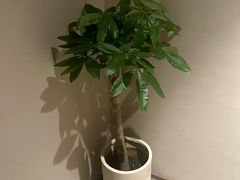 -泰合玺·精油疗愈 SPA(南京河西万达店)