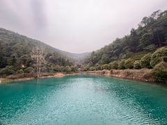 -九龙潭景区