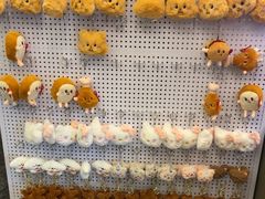 -海底捞火锅(劲松店)