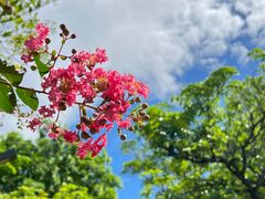 -风云岭森林公园