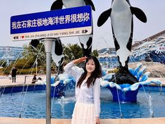 -石家庄极地海洋世界