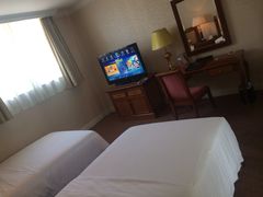 圣爵菲斯大酒店-圣爵菲斯大酒店(长沙世界之窗店)