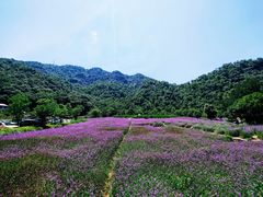 -雁荡山风景名胜区