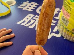 -贵州森林野生动物园